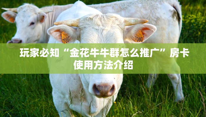  玩家必知“金花牛牛群怎么推广”房卡使用方法介绍