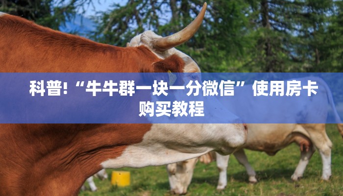  科普!“牛牛群一块一分微信”使用房卡购买教程