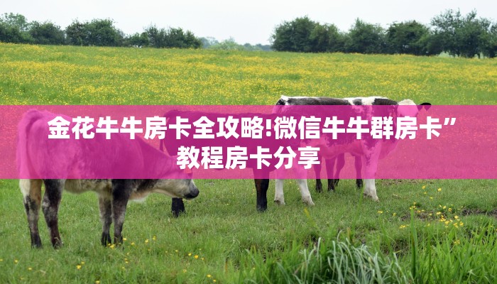 独家了解“新永和大厅怎么买房卡”房卡实战经验 独家了解“新永和大厅怎么买房卡”房卡实战经验