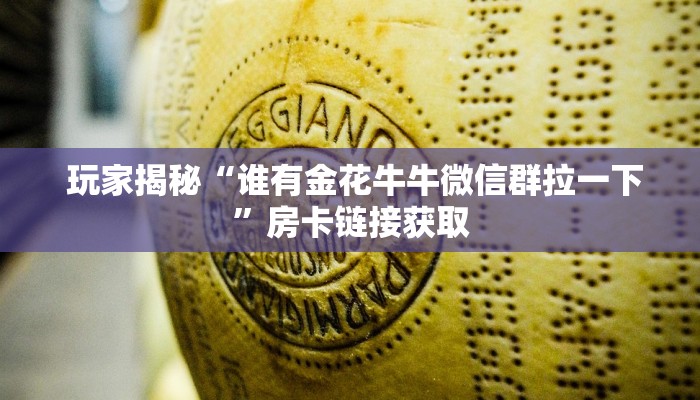  玩家揭秘“谁有金花牛牛微信群拉一下”房卡链接获取