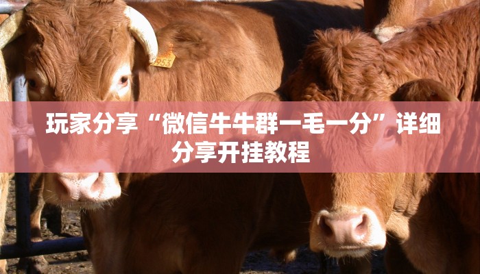 7分钟了解“牛魔王房卡链接”(详细房卡教程) 7分钟了解“牛魔王房卡链接”(详细房卡教程)