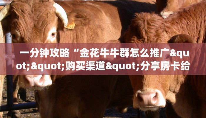  三分钟讲解“微信玩炸金花房卡链接”房卡实战经验