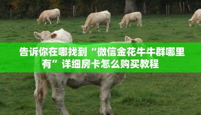  告诉你在哪找到“微信金花牛牛群哪里有”详细房卡怎么购买教程