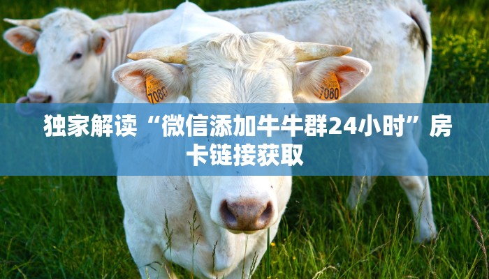  十分讲解“微信房卡炸金花链接挂软件名”房卡使用大全