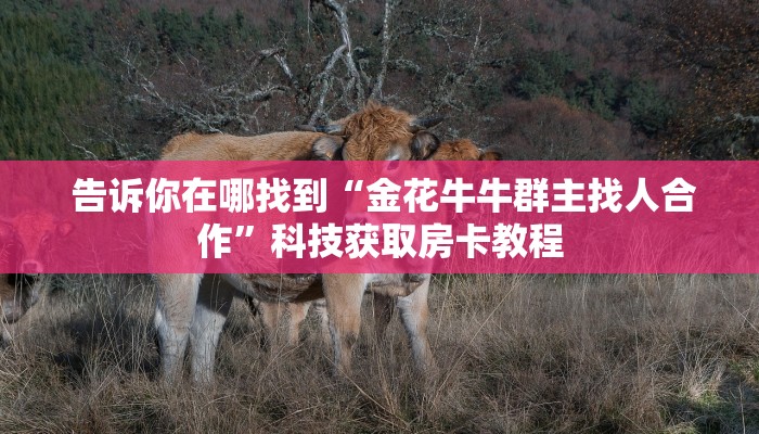 告诉你在哪找到“金花牛牛群主找人合作”科技获取房卡教程
