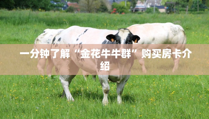  一分钟了解“金花牛牛群”购买房卡介绍