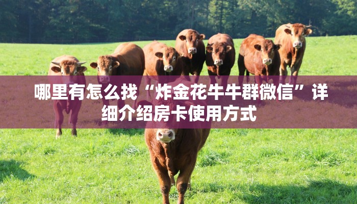  哪里有怎么找“炸金花牛牛群微信”详细介绍房卡使用方式