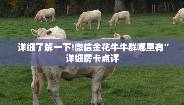  详细了解一下!微信金花牛牛群哪里有”详细房卡点评