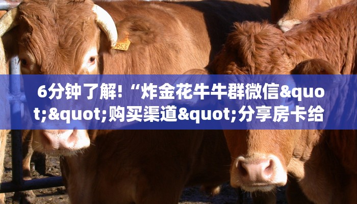 玩家攻略“炸金花房卡怎么搞到"怎么弄房卡"详细步骤分享!!! 玩家攻略“炸金花房卡怎么搞到"怎么弄房卡"详细步骤分享!!!