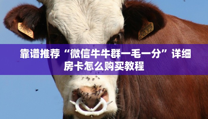 靠谱推荐“微信牛牛群一毛一分”详细房卡怎么购买教程 靠谱推荐“微信牛牛群一毛一分”详细房卡怎么购买教程