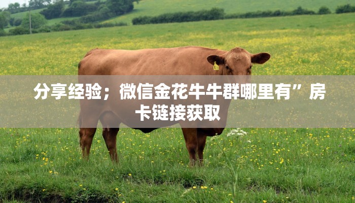  分享经验；微信金花牛牛群哪里有”房卡链接获取