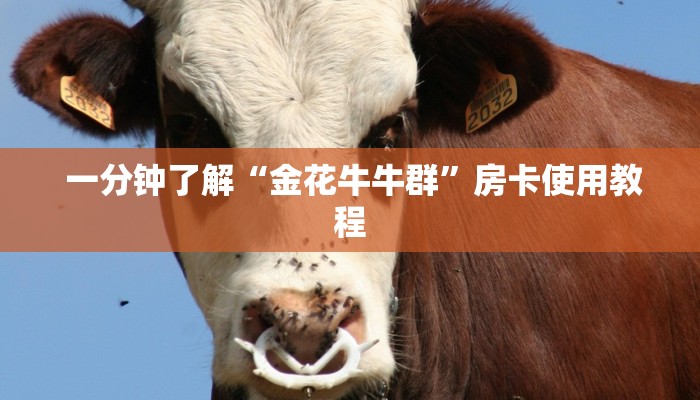  一分钟了解“金花牛牛群”房卡使用教程