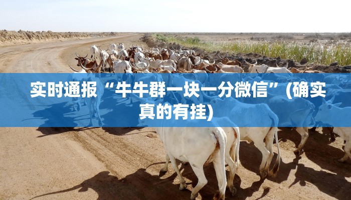  实时通报“牛牛群一块一分微信”(确实真的有挂)