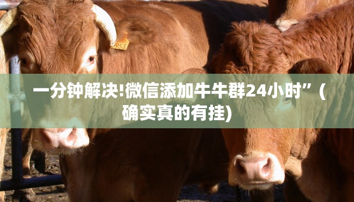一分钟解决!微信添加牛牛群24小时”(确实真的有挂) 一分钟解决!微信添加牛牛群24小时”(确实真的有挂)