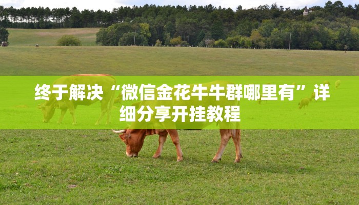  独家解读“微信金花房卡哪里买”使用房卡购买教程