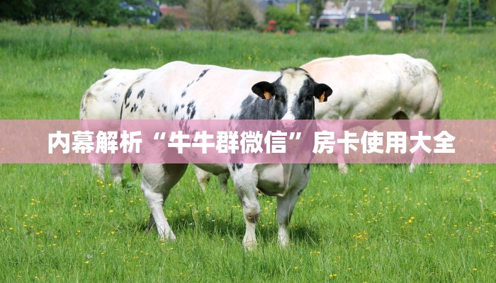  内幕解析“牛牛群微信”房卡使用大全