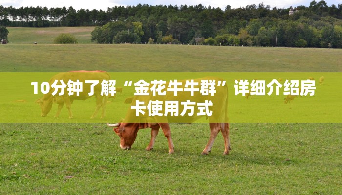 一分钟解决!微信金花房卡哪里买”详细获取房卡教程 一分钟解决!微信金花房卡哪里买”详细获取房卡教程