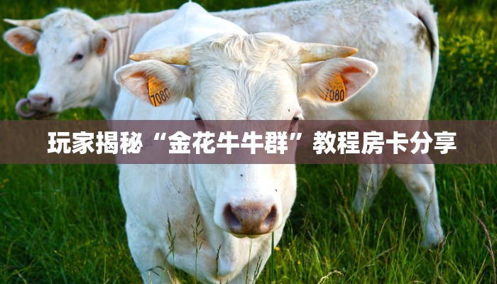  1秒种了解“炸金花房卡购买微信”科技获取房卡教程