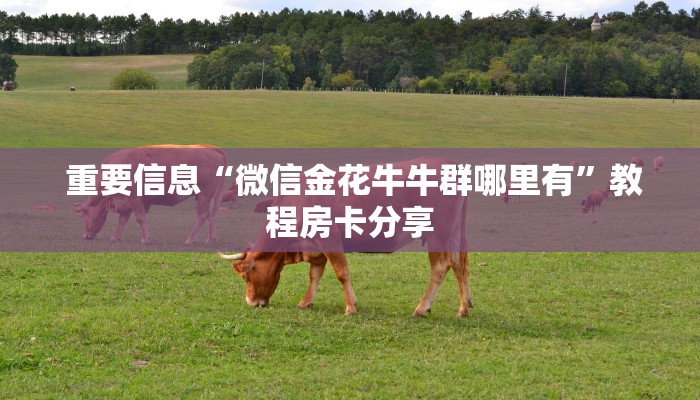 重要信息“微信金花牛牛群哪里有”教程房卡分享 重要信息“微信金花牛牛群哪里有”教程房卡分享