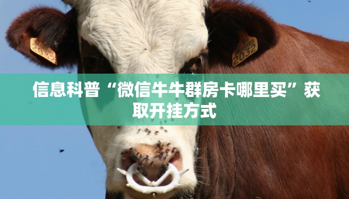  终于解决“微信牛牛正版房卡”详细房卡怎么购买教程