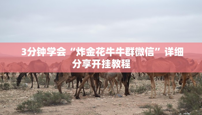 3分钟学会“炸金花牛牛群微信”详细分享开挂教程 3分钟学会“炸金花牛牛群微信”详细分享开挂教程