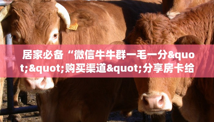  居家必备“微信牛牛群一毛一分""购买渠道"分享房卡给大家