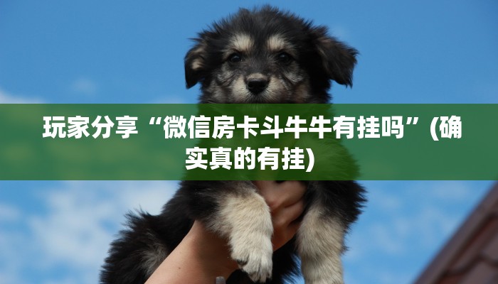 玩家科普“新道游房卡链接怎么搞”独家房卡怎么购买方式 玩家科普“新道游房卡链接怎么搞”独家房卡怎么购买方式