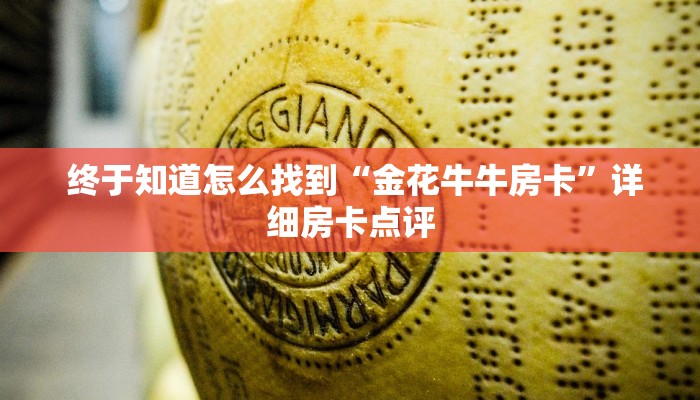 终于知道怎么找到“金花牛牛房卡”详细房卡点评 终于知道怎么找到“金花牛牛房卡”详细房卡点评