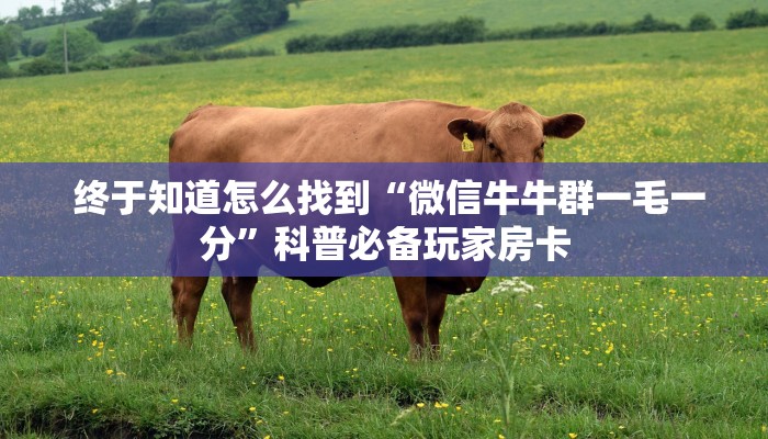 终于知道怎么找到“微信牛牛群一毛一分”科普必备玩家房卡 终于知道怎么找到“微信牛牛群一毛一分”科普必备玩家房卡