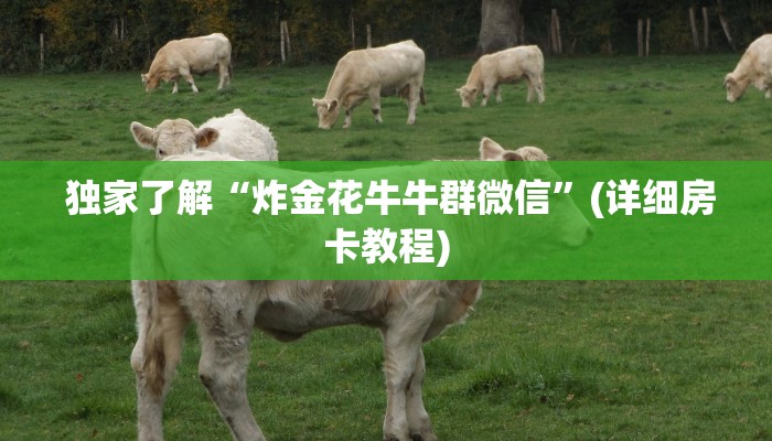  玩家揭秘“炸金花正版链接房卡""低价获取"!’分享房卡给大家