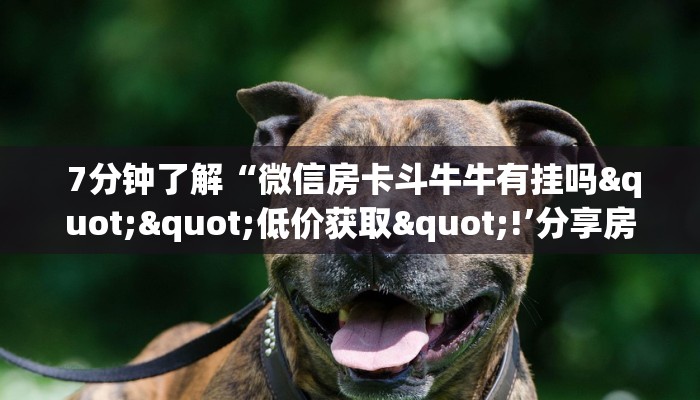 7分钟了解“微信房卡斗牛牛有挂吗""低价获取"!’分享房卡给大家 7分钟了解“微信房卡斗牛牛有挂吗""低价获取"!’分享房卡给大家