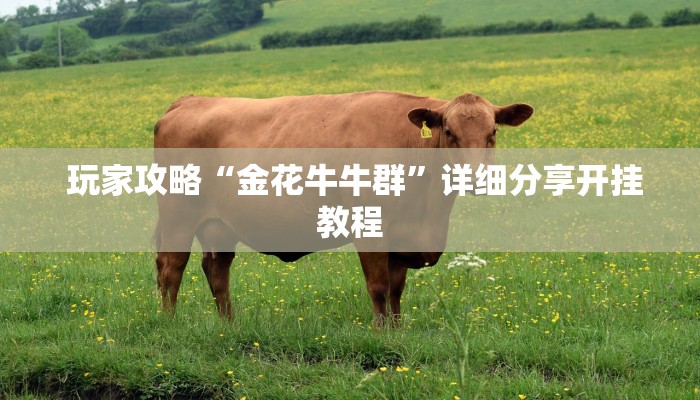 玩家攻略“金花牛牛群”详细分享开挂教程 玩家攻略“金花牛牛群”详细分享开挂教程