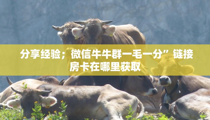  房卡教程“微信玩炸金花房卡链接”科普必备玩家房卡