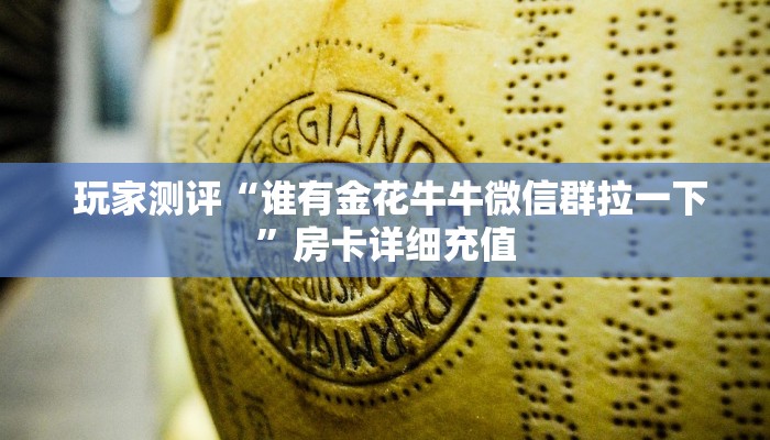 玩家测评“谁有金花牛牛微信群拉一下”房卡详细充值 玩家测评“谁有金花牛牛微信群拉一下”房卡详细充值