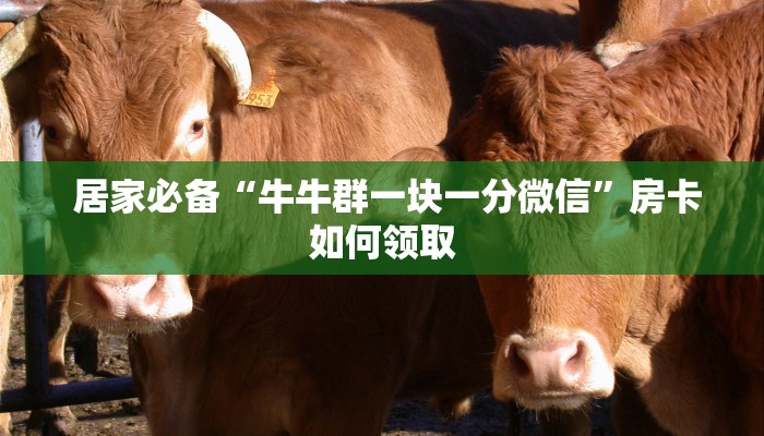  居家必备“牛牛群一块一分微信”房卡如何领取