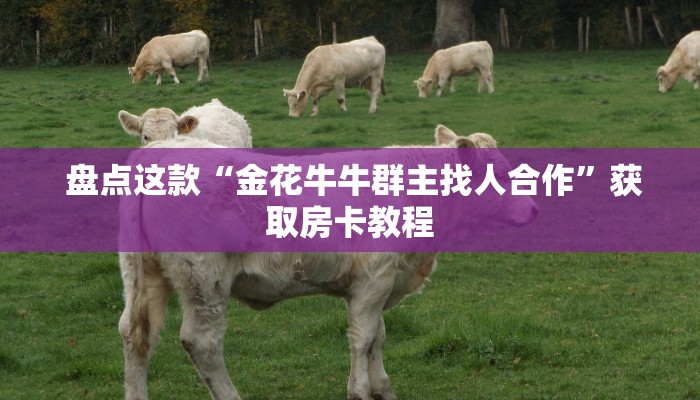  盘点这款“金花牛牛群主找人合作”获取房卡教程