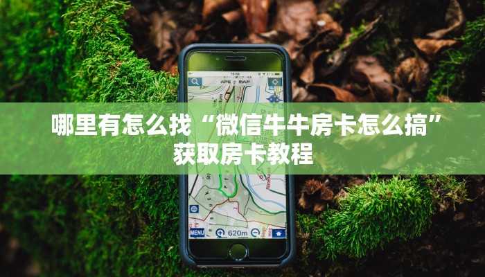  哪里有怎么找“微信牛牛房卡怎么搞”获取房卡教程