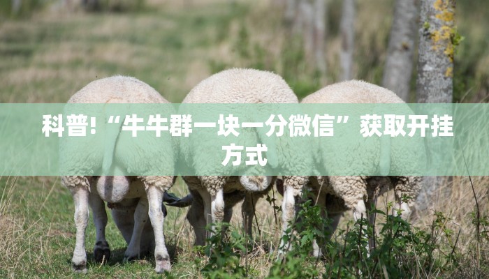  房卡必备教程“微信金花房卡随意玩”链接房卡在哪里获取