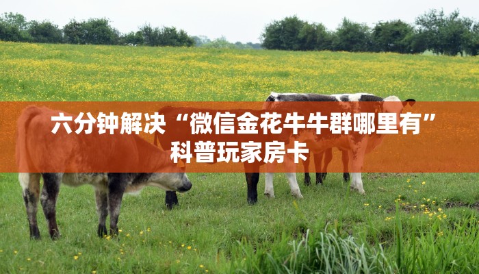  3分钟学会“金花牛牛群主找人合作”使用房卡购买教程 ”教程房卡分享