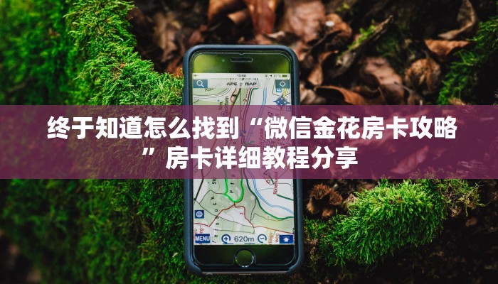  内幕揭晓“微信玩金花房卡在哪买”详细房卡点评