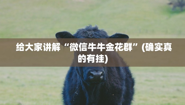  给大家讲解“微信牛牛金花群”(确实真的有挂)