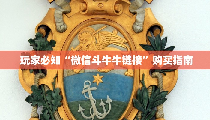  玩家必知“微信斗牛牛链接”购买指南