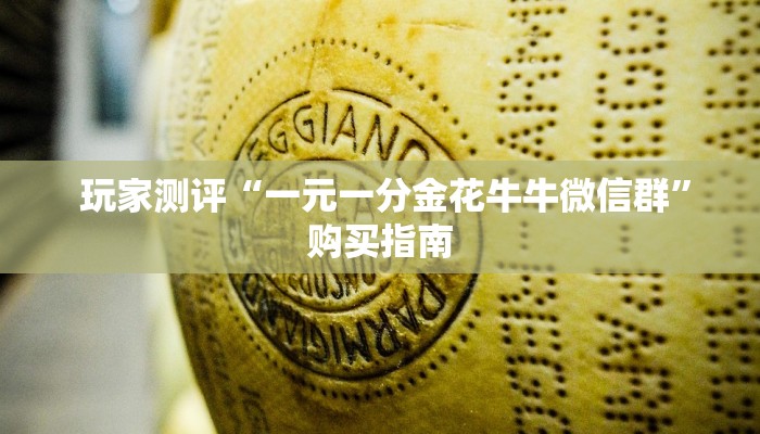 给大家普及“牛牛炸金花房卡”详细房卡怎么购买教程 给大家普及“牛牛炸金花房卡”详细房卡怎么购买教程