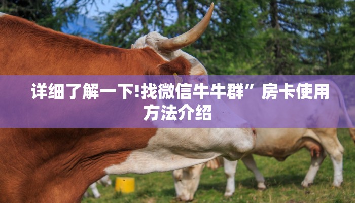 详细了解一下!找微信牛牛群”房卡使用方法介绍 详细了解一下!找微信牛牛群”房卡使用方法介绍