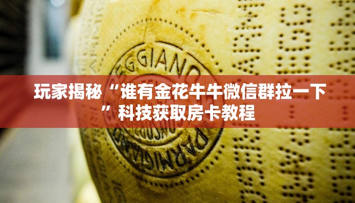  玩家揭秘“谁有金花牛牛微信群拉一下”科技获取房卡教程