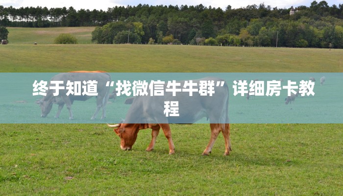  终于知道“找微信牛牛群”详细房卡教程