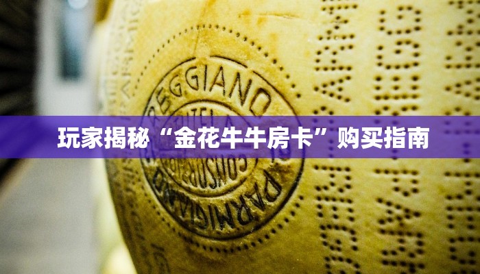  玩家揭秘“金花牛牛房卡”购买指南