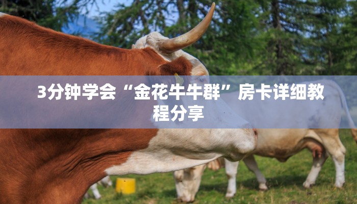 3分钟学会“金花牛牛群”房卡详细教程分享 3分钟学会“金花牛牛群”房卡详细教程分享