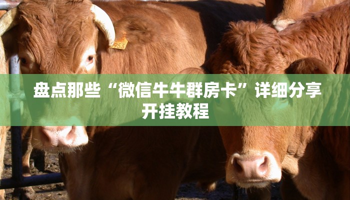  盘点那些“微信牛牛群房卡”详细分享开挂教程