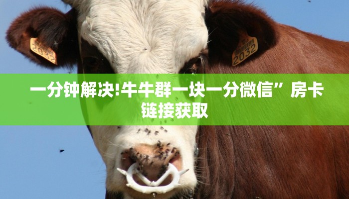  玩家必看“微信金花大厅房卡透视”独家房卡怎么购买方式